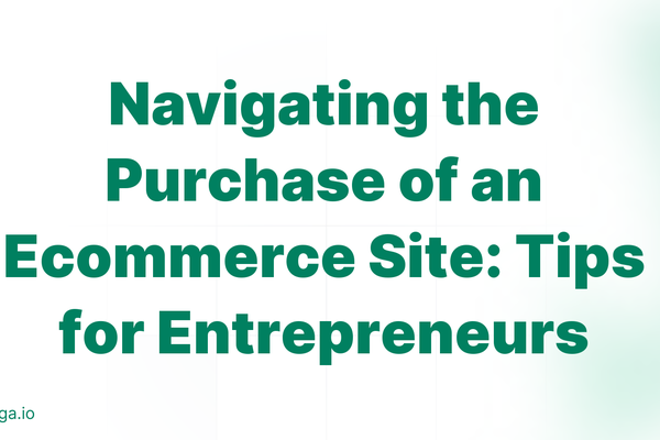 Navigating the Purchase of an Ecommerce Site: Tips for Entrepreneurs